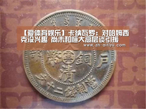 【爱体育娱乐】卡纳瓦罗:对哈姆西克没兴趣 尚未和恒大高层谈引援(图2) 爱体育游戏