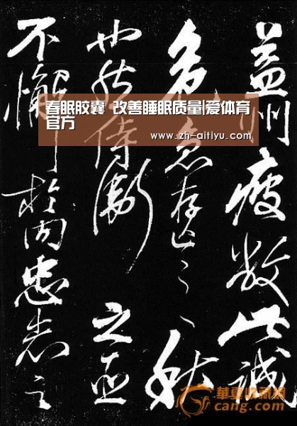 春眠胶囊 改善睡眠质量|爱体育官方(图2) 爱体育