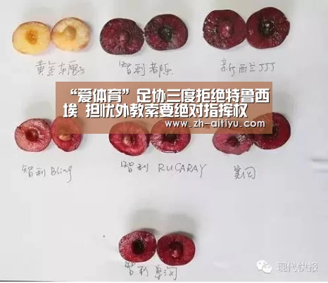 “爱体育”足协三度拒绝特鲁西埃 担忧外教索要绝对指挥权(图1) 爱体育娱乐